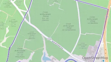 Maison 240 m² cinq pièces à vendre à Chambolle-Musigny