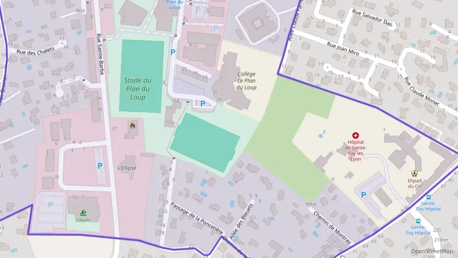 Maison 225 m² quatre pièces à vendre à Sainte-Foy-lès-Lyon Maison 225 m² quatre pièces à vendre à Sainte-Foy-lès-Lyon