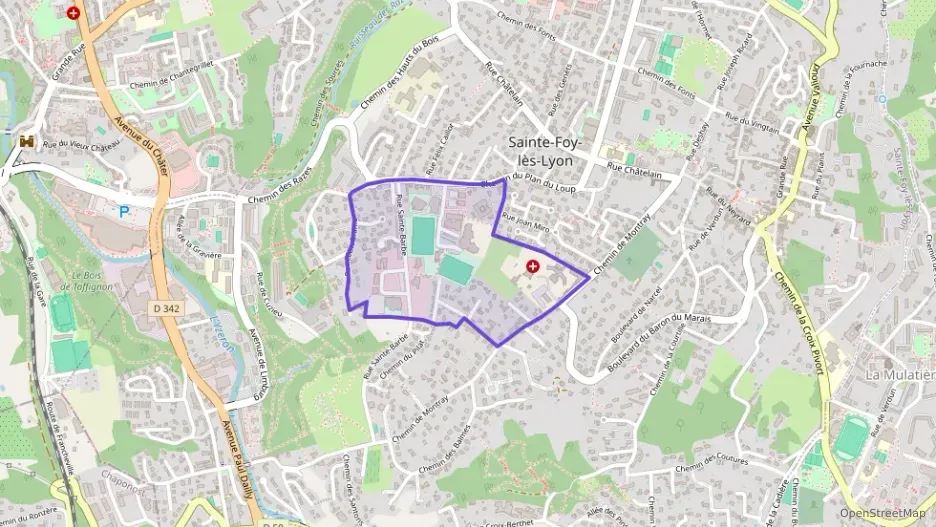 Maison 225 m² quatre pièces à vendre à Sainte-Foy-lès-Lyon Maison 225 m² quatre pièces à vendre à Sainte-Foy-lès-Lyon