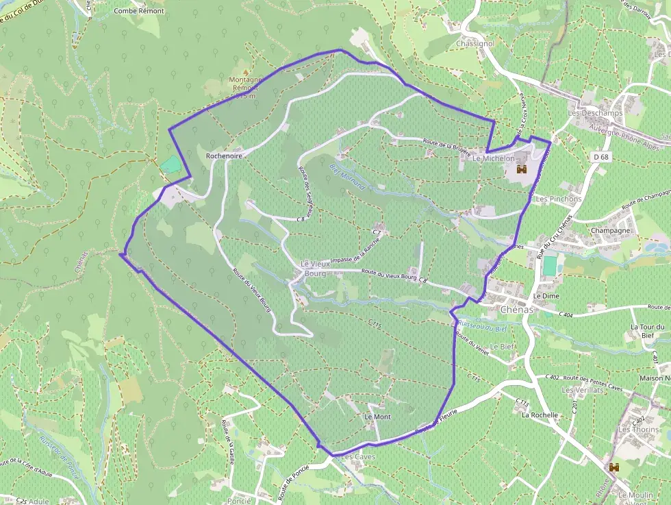 Maison 226 m² 6 pièces à vendre à Chénas