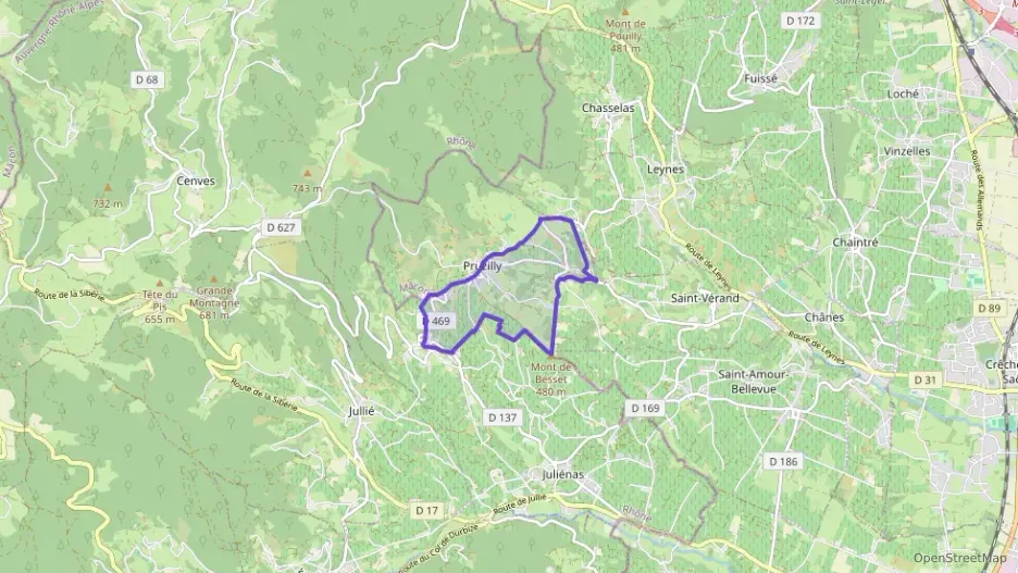 Maison 214 m² sept pièces à vendre à Pruzilly Maison 214 m² sept pièces à vendre à Pruzilly