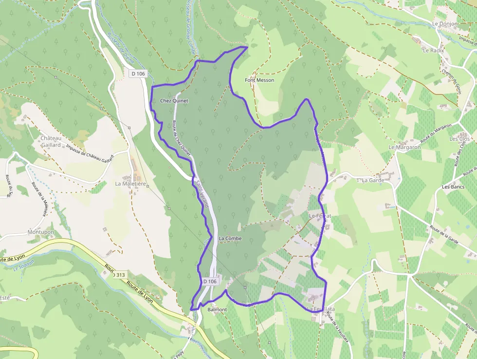 Maison 207 m² 6 pièces à vendre à Saint-Vérand