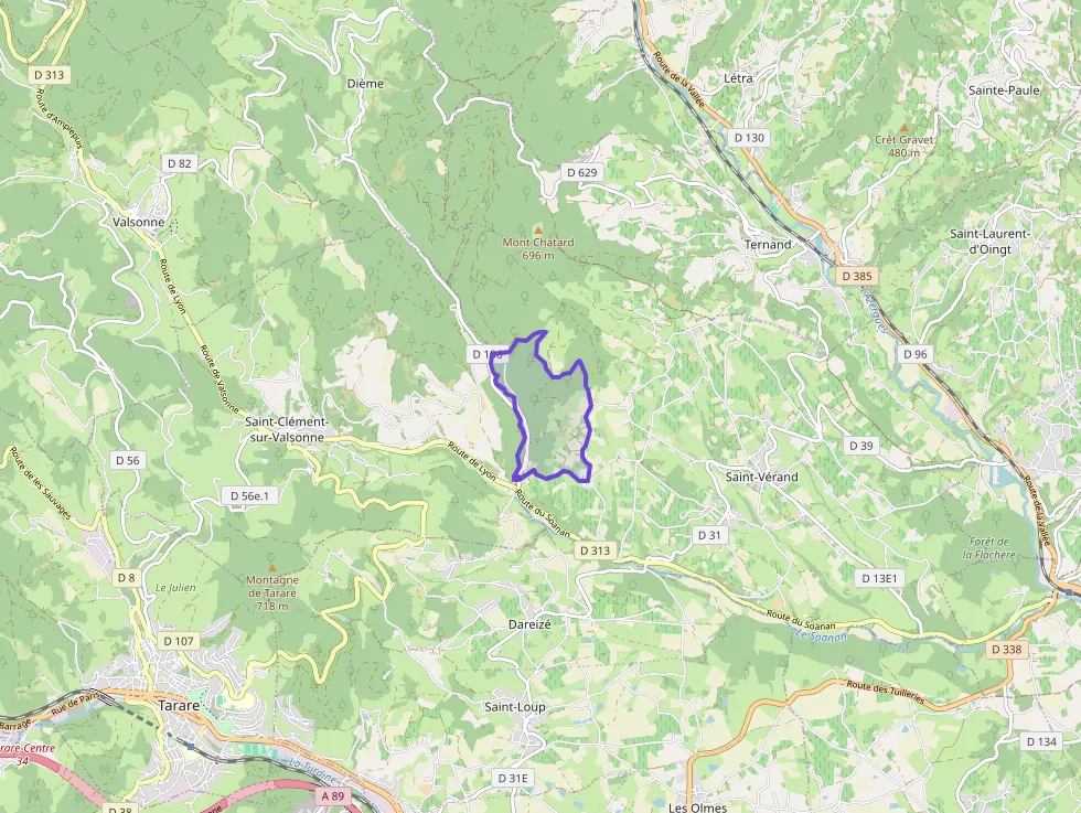 Maison 207 m² 6 pièces à vendre à Saint-Vérand