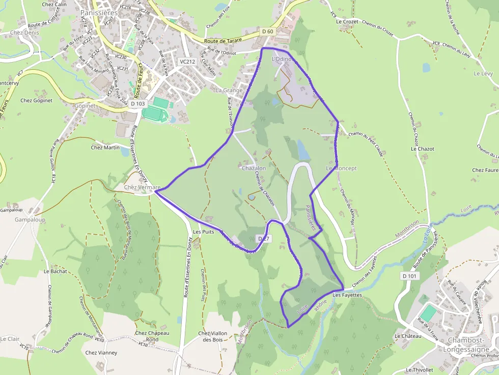 Maison 133 m² quatre pièces à vendre à Panissières