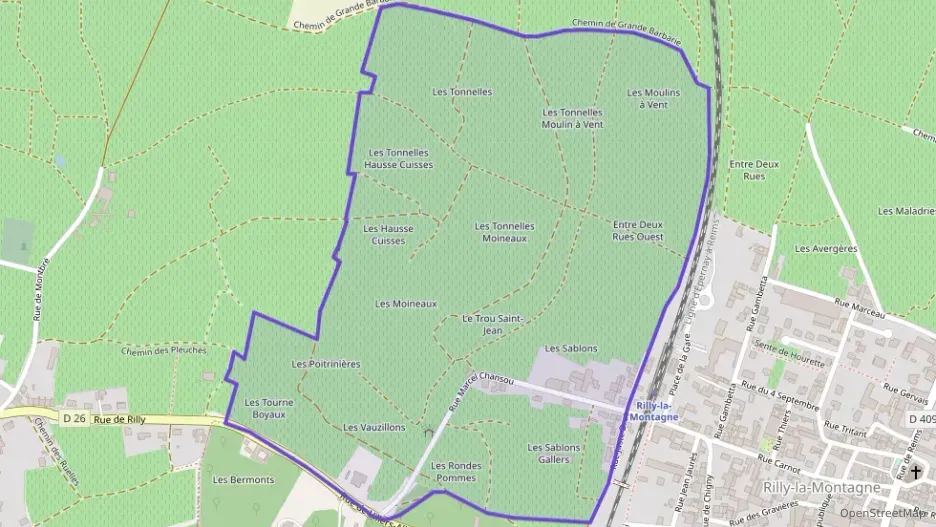 Maison 43 m² deux pieces à vendre à Rilly-la-Montagne Maison 43 m² deux pieces à vendre à Rilly-la-Montagne