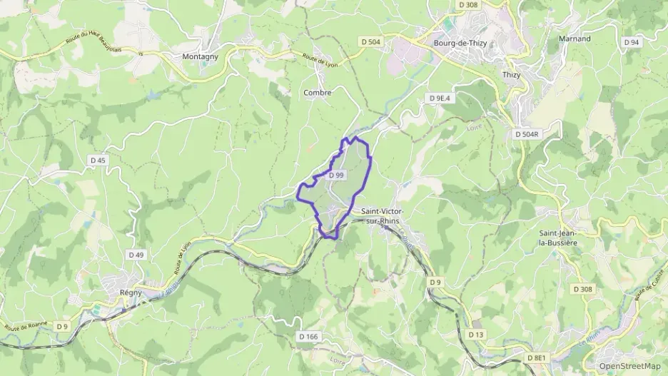 Maison 155 m² quatre pièces à vendre à Saint-Victor-sur-Rhins
