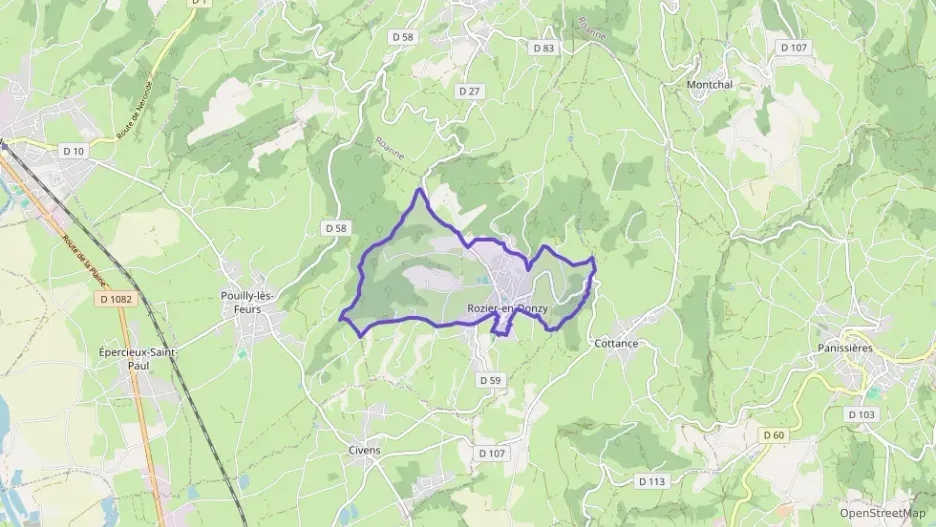 Maison 124 m² quatre pièces à vendre à Rozier-en-Donzy
