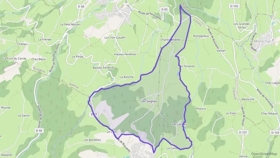 Maison 120 m² cinq pièces à vendre à Rozier-en-Donzy