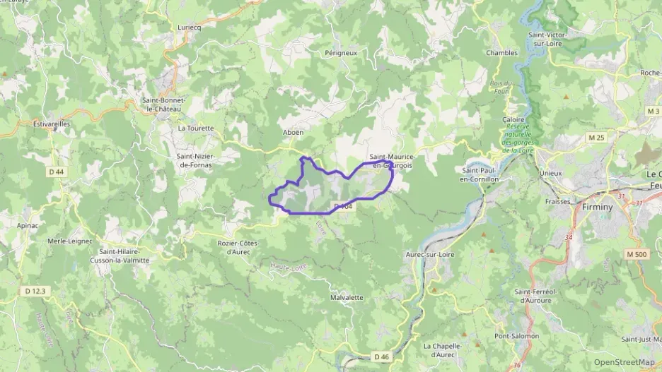 Maison 120 m² cinq pièces à vendre à Saint-Maurice-en-Gourgois