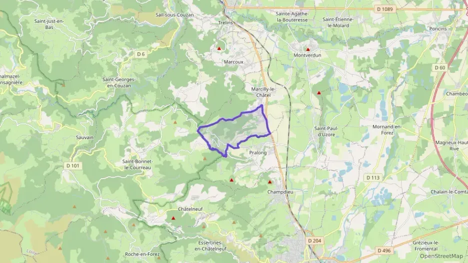 Maison 90 m² deux pieces à vendre à Marcilly-le-Châtel Maison 90 m² deux pieces à vendre à Marcilly-le-Châtel