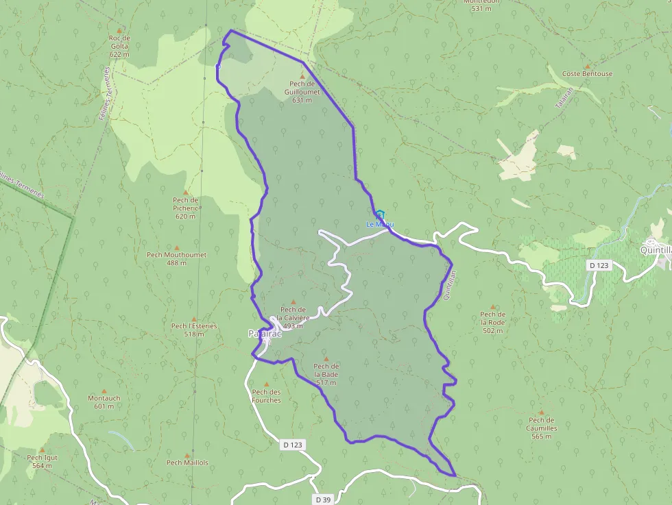 Maison 157 m² 5 pièces à vendre à Palairac
