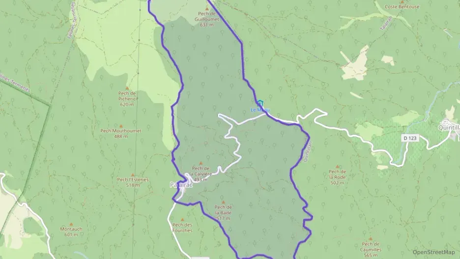 Maison 157 m² cinq pièces à vendre à Palairac