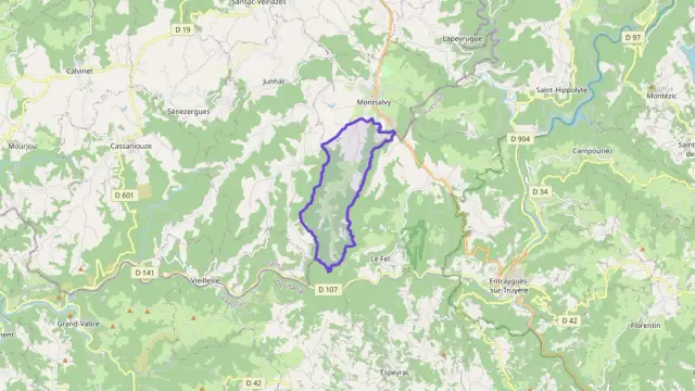 Maison 98 m² quatre pièces à vendre à Montsalvy