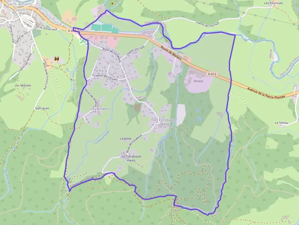 Maison 112 m² 6 pièces à vendre à Saint-Amans-Soult