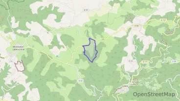 Maison 73 m² trois pièces à vendre à Montredon-Labessonnié
