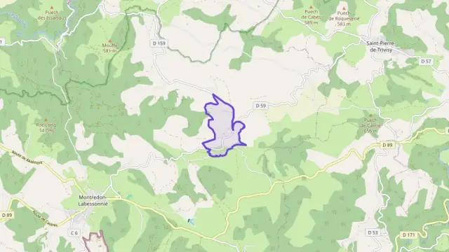 Maison 105 m² quatre pièces à vendre à Montredon-Labessonnié