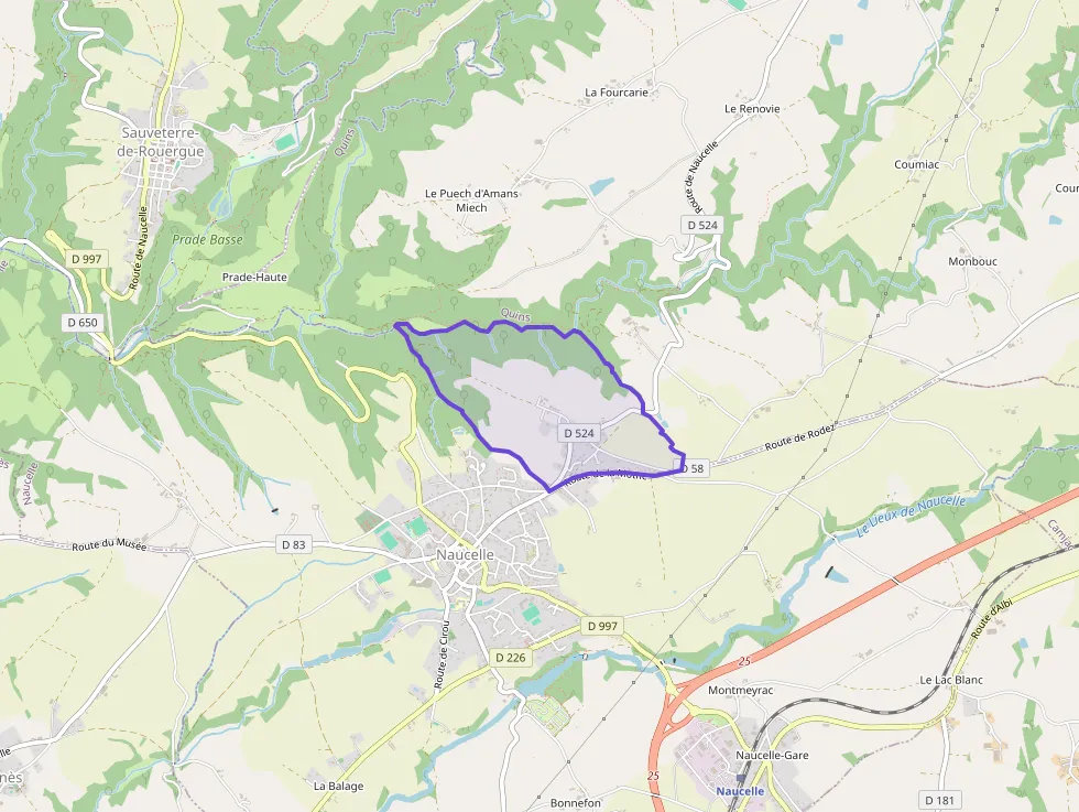 Maison 107 m² quatre pièces à vendre à Naucelle