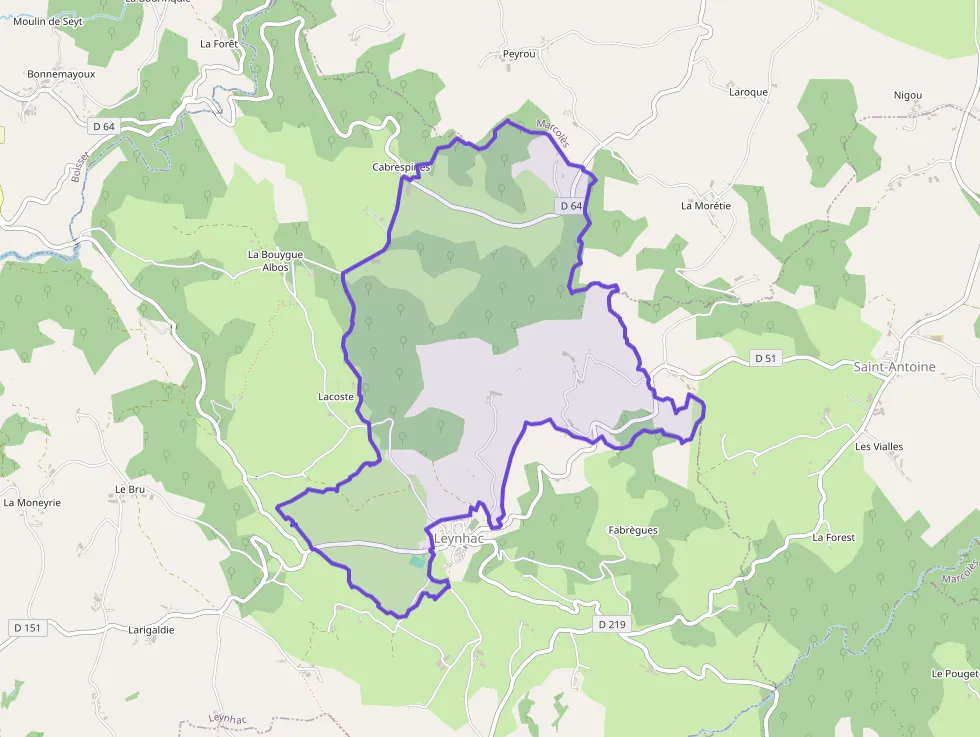 Maison 180 m² 7 pièces à vendre à Leynhac