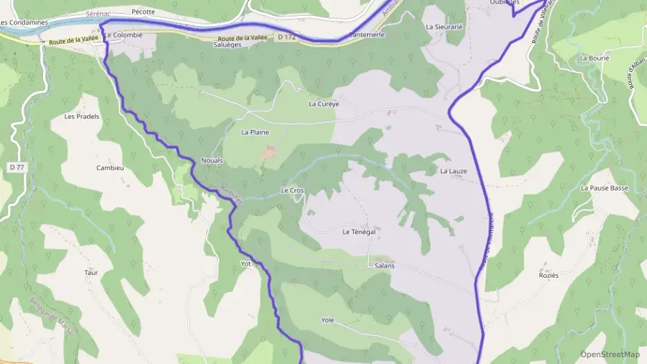 Maison 110 m² cinq pièces à vendre à Ambialet