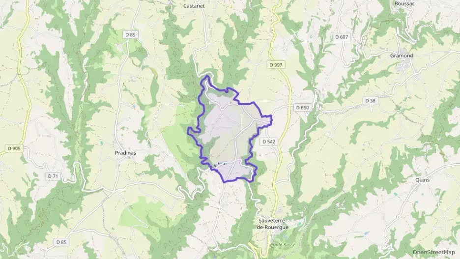 Maison 145 m² sept pièces à vendre à Sauveterre-de-Rouergue Maison 145 m² sept pièces à vendre à Sauveterre-de-Rouergue