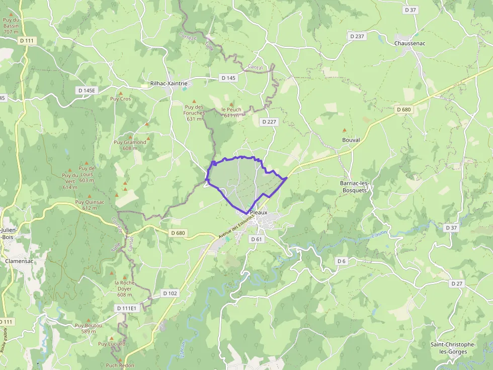 Maison 138 m² 5 pièces à vendre à Pleaux