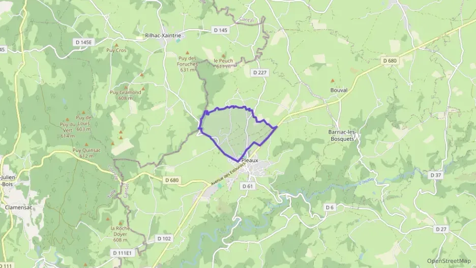 Maison 138 m² cinq pièces à vendre à Pleaux Maison 138 m² cinq pièces à vendre à Pleaux