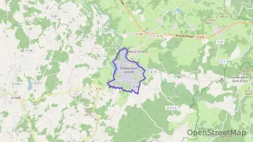 Maison 120 m² cinq pièces à vendre à Châteauneuf-la-Forêt