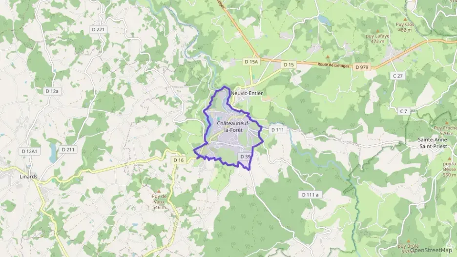 Maison 120 m² cinq pièces à vendre à Châteauneuf-la-Forêt