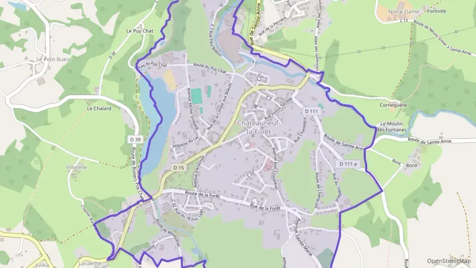 Maison 98 m² cinq pièces à vendre à Châteauneuf-la-Forêt