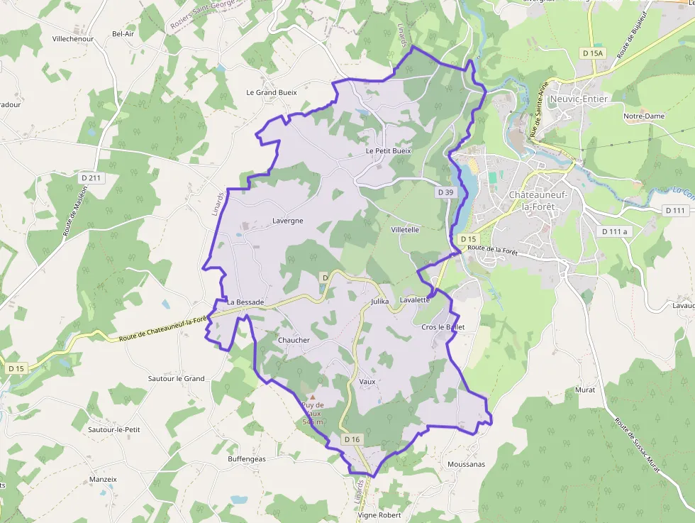 Maison 119 m² quatre pièces à vendre à Châteauneuf-la-Forêt