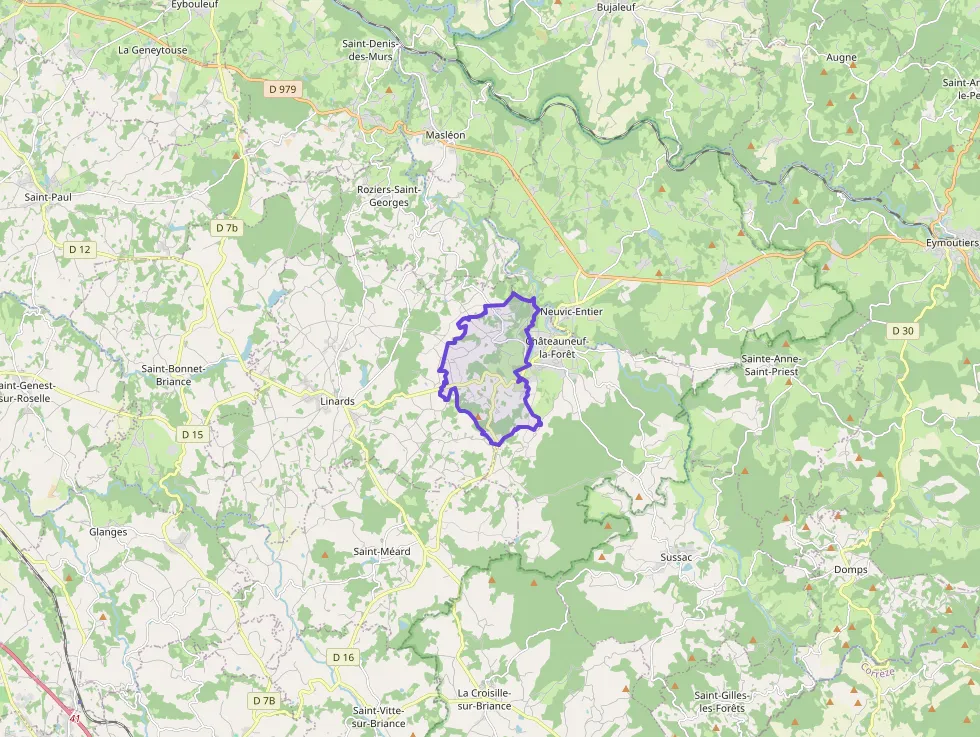 Maison 119 m² quatre pièces à vendre à Châteauneuf-la-Forêt