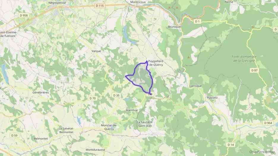 Maison 253 m² six pièces à vendre à Puygaillard-de-Quercy