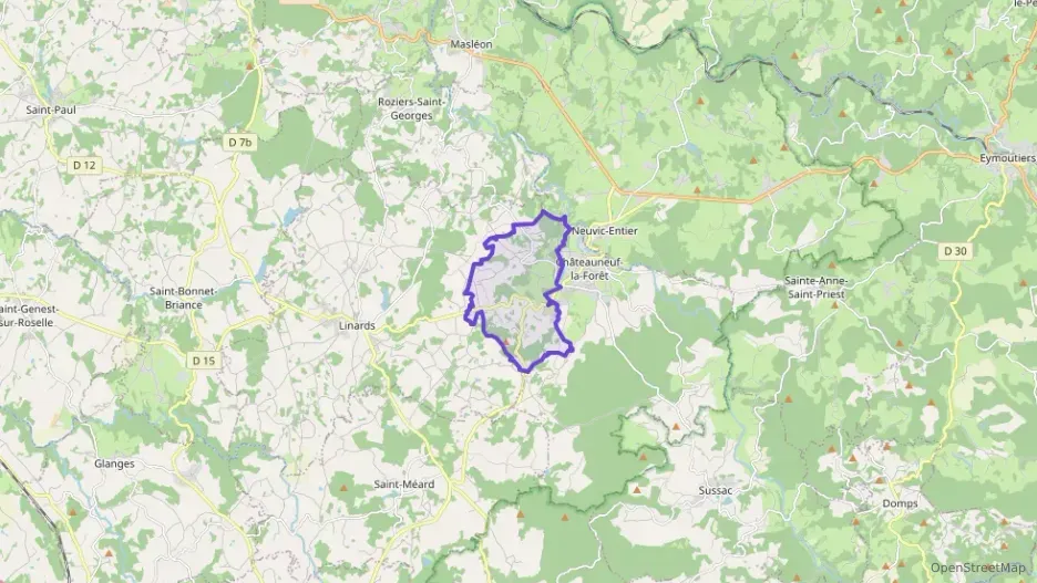 Maison 65 m² trois pièces à vendre à Châteauneuf-la-Forêt
