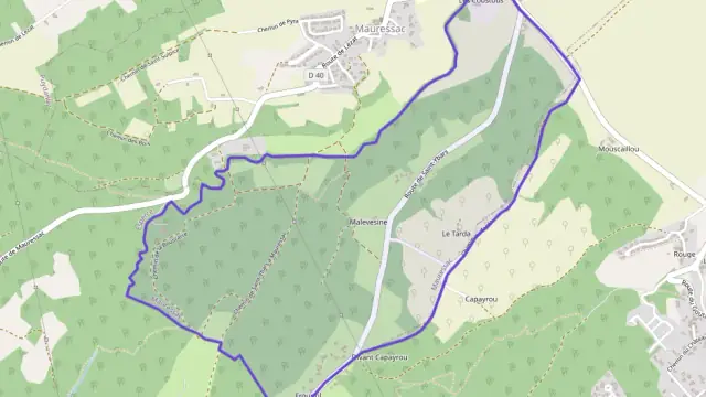 Maison 126 m² quatre pièces à vendre à Mauressac