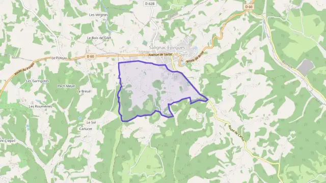 Maison 50 m² trois pièces à vendre à Salignac-Eyvigues