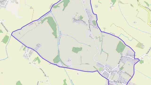 Maison 230 m² 7 pièces à vendre à Caubiac