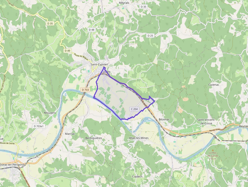 Maison 120 m² quatre pièces à vendre à Castels et Bézenac