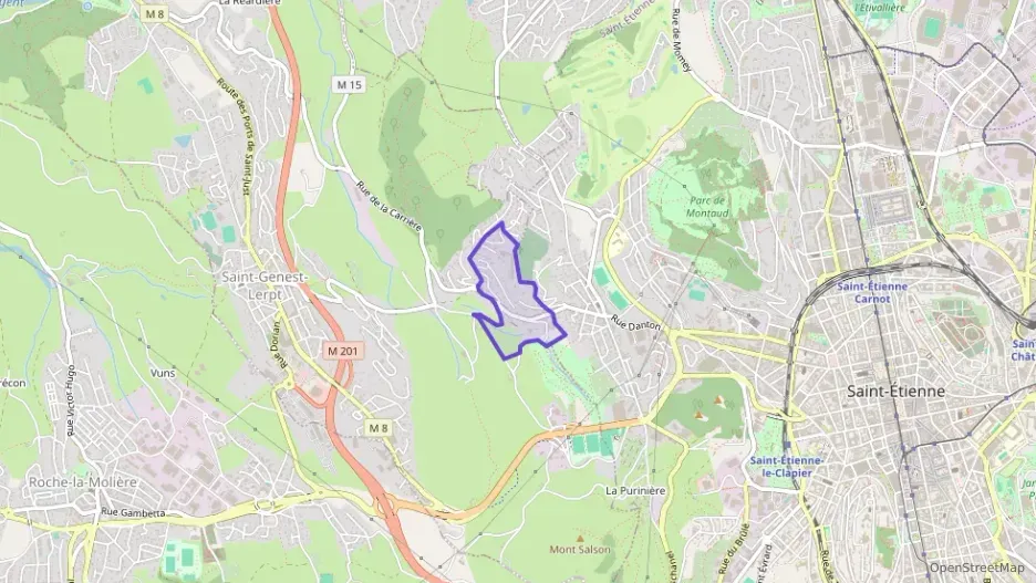 Appartement 50 m² une piece à vendre à Saint-Genest-Lerpt