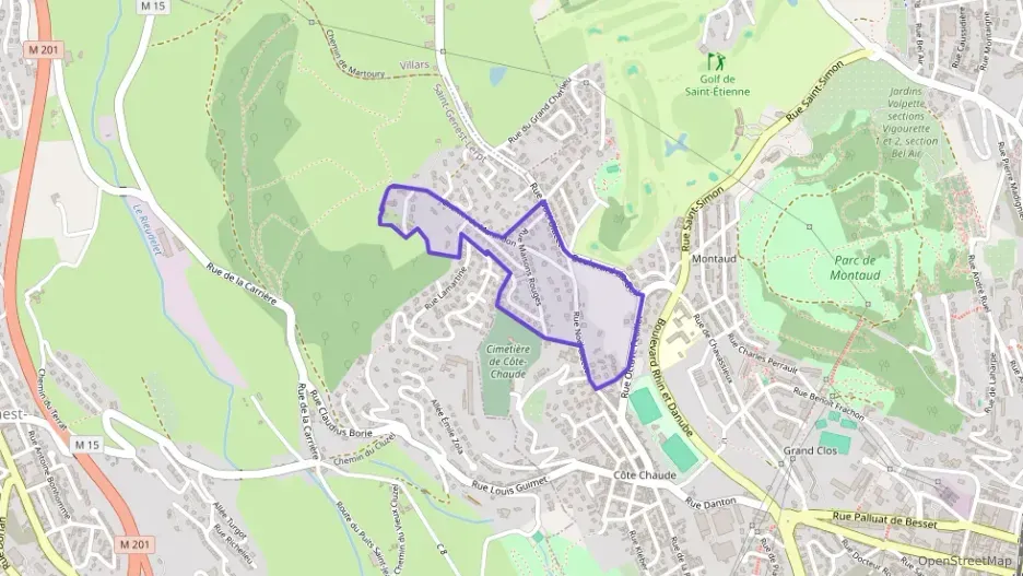 Appartement 103 m² cinq pièces à vendre à Saint-Étienne