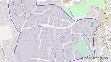 Appartement d'une pièce 60 m² à vendre  à Sorbiers