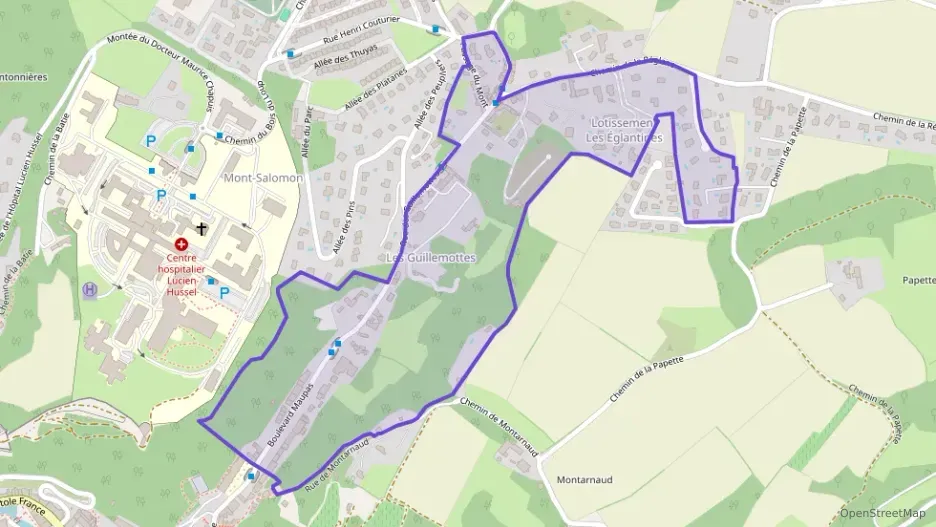 Appartement 65 m² deux pieces à vendre à Vienne Appartement 65 m² deux pieces à vendre à Vienne