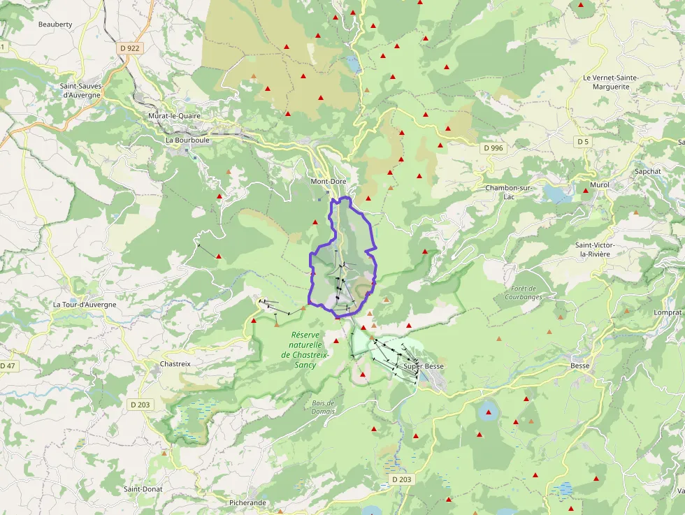Appartement 27 m² deux pieces à vendre à Mont-Dore