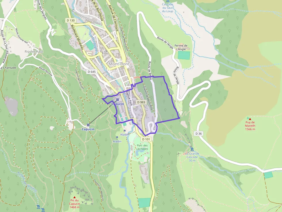 Appartement 32 m² une piece à vendre à Mont-Dore