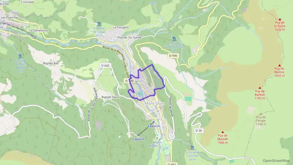 Appartement 36 m² une piece à vendre à Mont-Dore