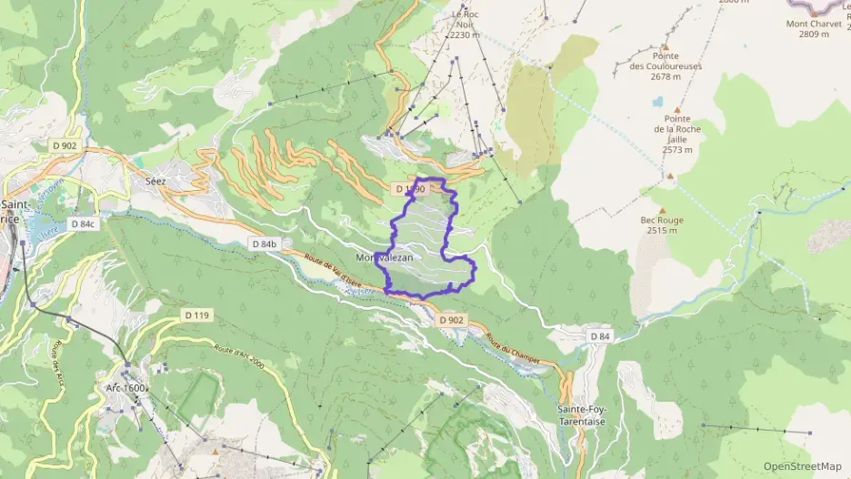 Appartement 52 m² deux pieces à vendre à Montvalezan