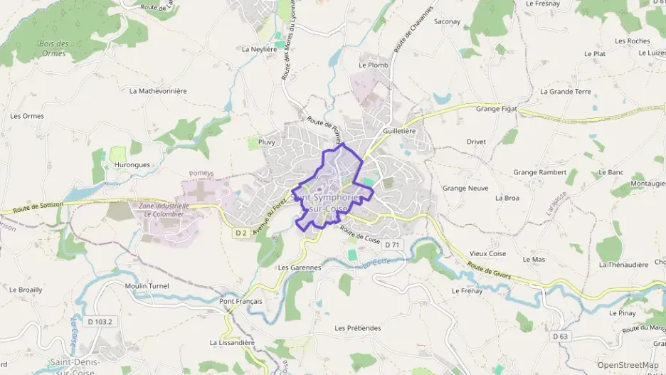 Appartement 43 m² une piece à vendre à Saint-Symphorien-sur-Coise