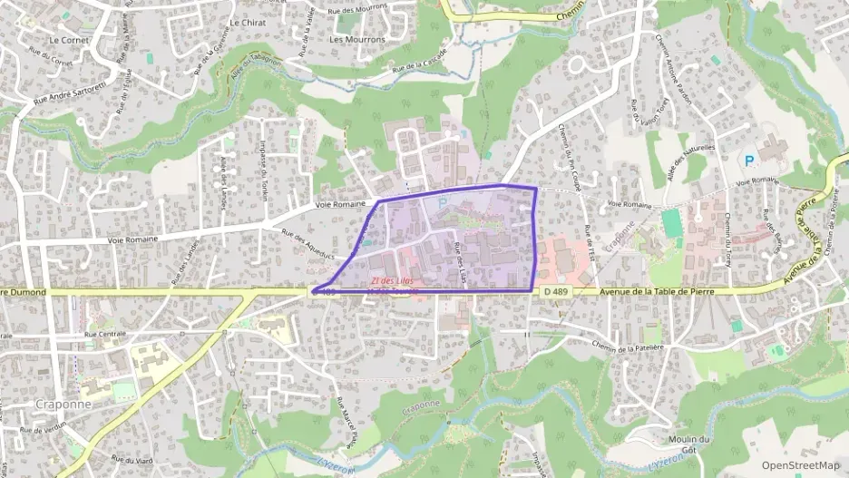 Appartement 92 m² une piece à vendre à Craponne