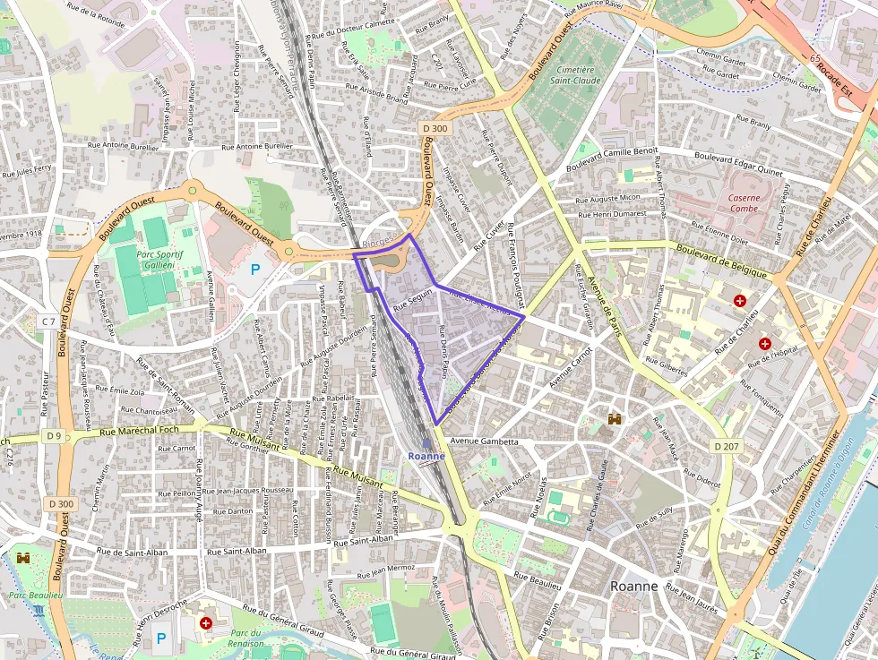 Appartement 117 m² 5 pièces à vendre à Roanne