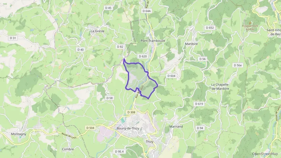 Appartement 59 m² trois pièces à vendre à Thizy-les-Bourgs