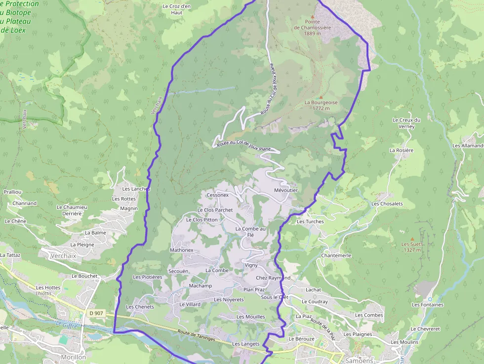 Property